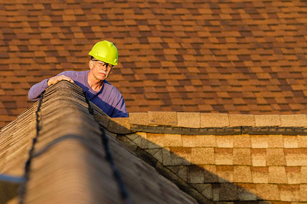 Best Roof Gutter Cleaning  in Rainbow, CA