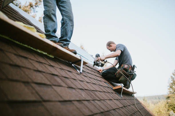 Roof Gutter Cleaning in Rainbow, CA